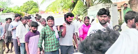 దర్యా