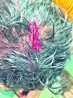జనసేన