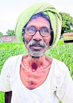 పంటలు ఎండిపోతున్నాయి..
