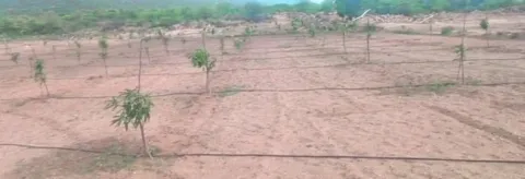 జవాన్
