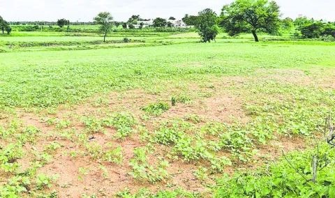 వరుణుడా.. కరుణించవా!
