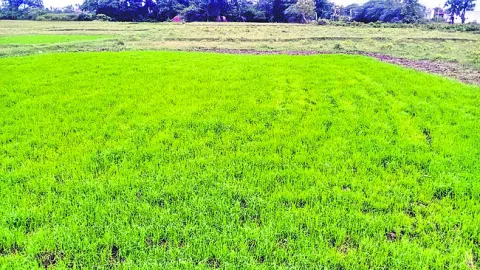 ఊరిస్తోంది ఇంకా! 