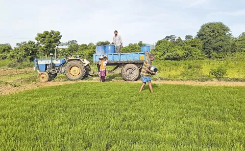 Telangana: IMD issues Alert of rains