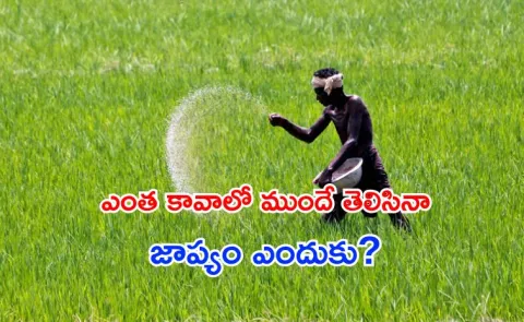 Why Govt Delays in Manufacturing Urea