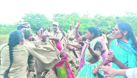 తేలని