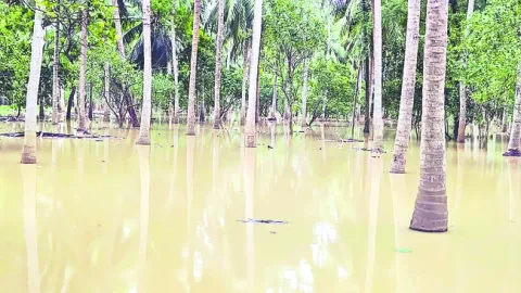 స్వల్