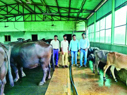 1962 యాప్‌ను సద్వినియోగం చేసుకోవాలి 
