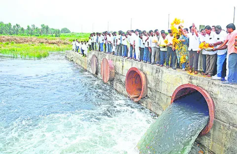 సాగుకు సింగూరు నీళ్లు