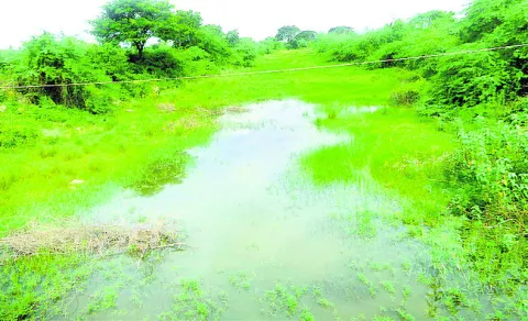 వెలవె