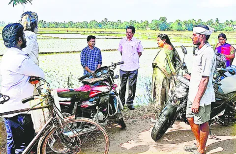 15 వేల హెక్టార్లలో వరి నాట్లు