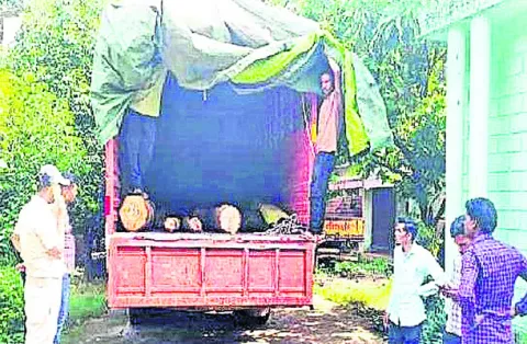 కలప దుంగలు తరలిస్తున్న ట్రక్కు పట్టివేత 