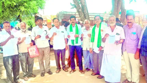 మామిడ