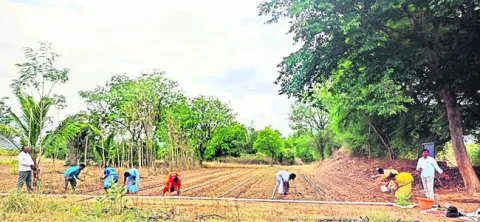 వినూత్న ప్రయోగం