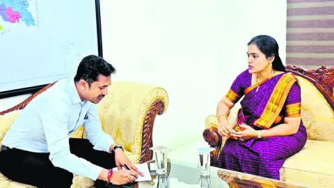 ఏనుగుల సమస్యకు శాశ్వత పరిష్కారం చూపండి 