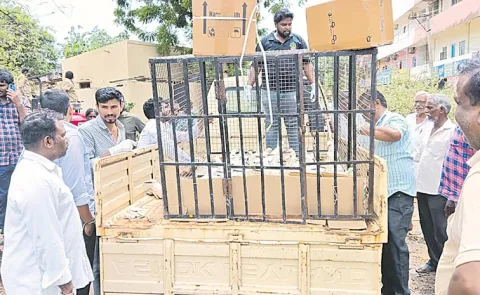Godavarikhani Crane Nest Heart Touching Viral