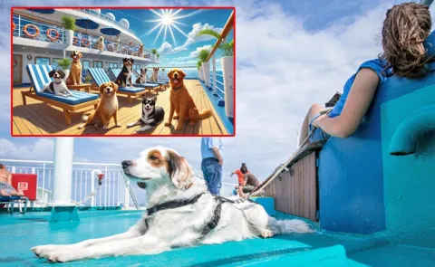 world first dog cruise launching And offering pet owners