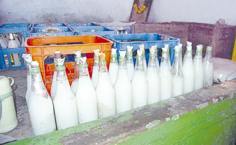 Ban on Toddy Shops in ORR Limits: Telangana