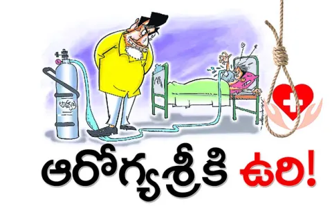 భాను 