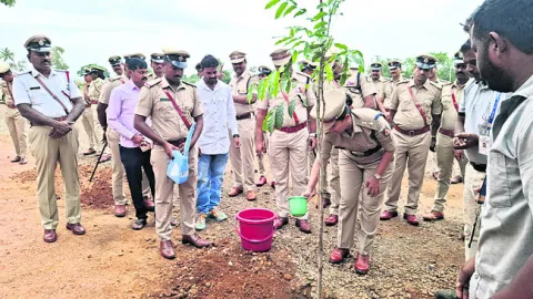 అడవుల నాశనంతో ఉష్ణోగ్రతల పెరుగుదల 