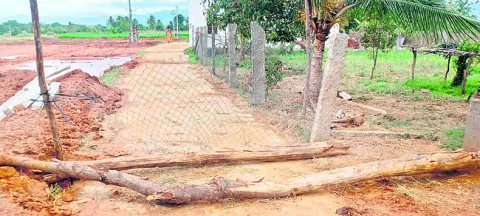 బాబు 