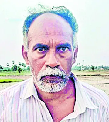 పంటలు