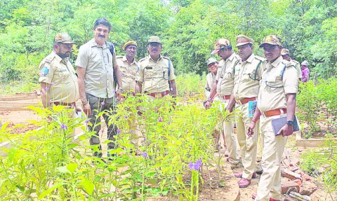 ‘సీతా