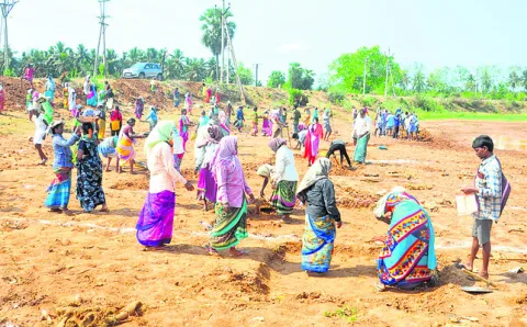 ఉపాధి