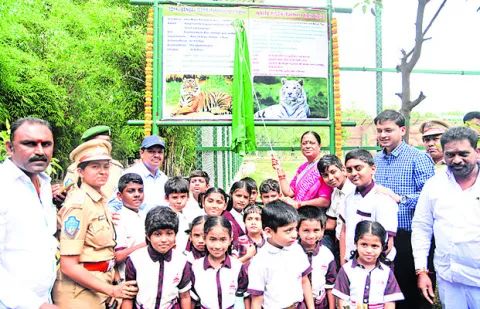 జూలో 