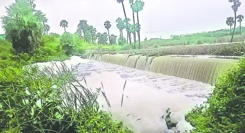భారీ వర్షం.. రైతన్న హర్షం 