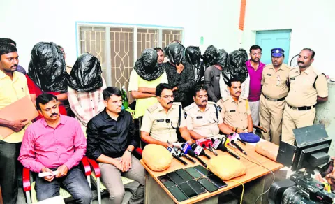 11 మంది గంజాయి విక్రేతల అరెస్టు 