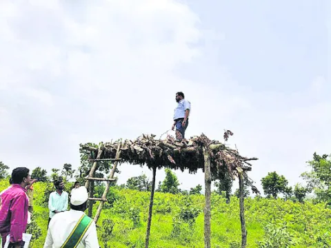 పంచాయతీల అభివృద్ధికి కృషి
