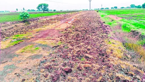 రోడ్డును దున్నేసి.. పంటను సాగు చేసి!