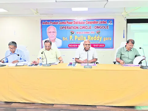 ఆర్‌డీఎస్‌ఎస్‌ పనులు వేగవంతం చేయాలి 