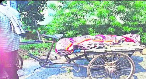● కడతేరని కష్టం