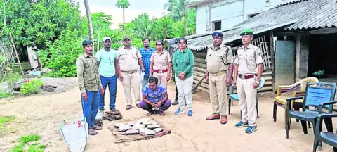 పోలీస