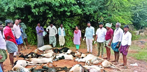 21న జాబ్‌మేళా 