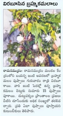 వీరభద