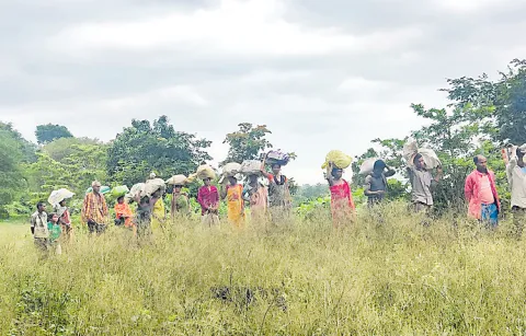 Removal of ration supply system is causing distress to tribals