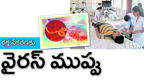 దాతలు