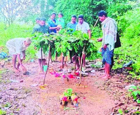 వైవిధ