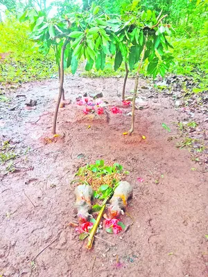 వైవిధ