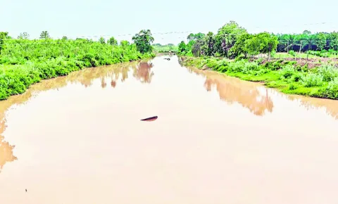 పెదవా