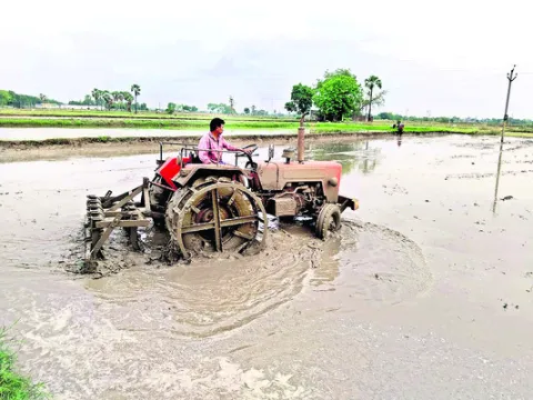 జిల్లాలో 26.3 మిల్లీమీటర్ల వర్షం