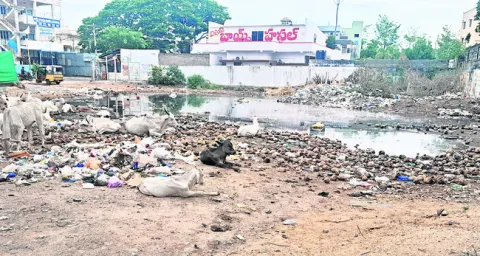 మూడు,