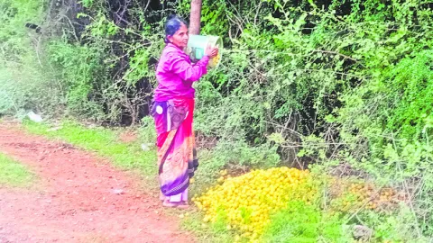 ధర సన