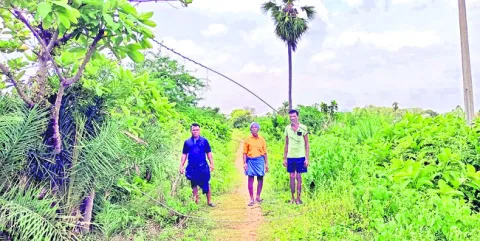 ప్రమాదకరంగా విద్యుత్‌ తీగలు