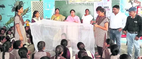 దోమలను నివారించాలి