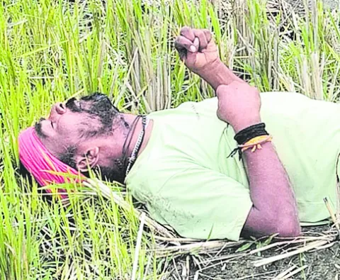మోటార