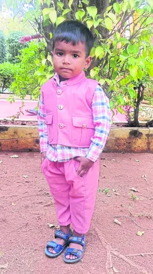 కోతుల దాడిలో వృద్ధురాలికి గాయాలు
