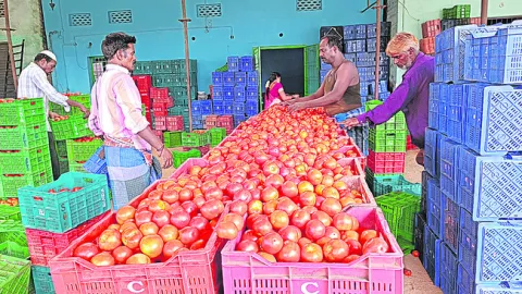 టమాట బాక్సు రూ.450 
